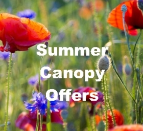 Summer Canopy Offers